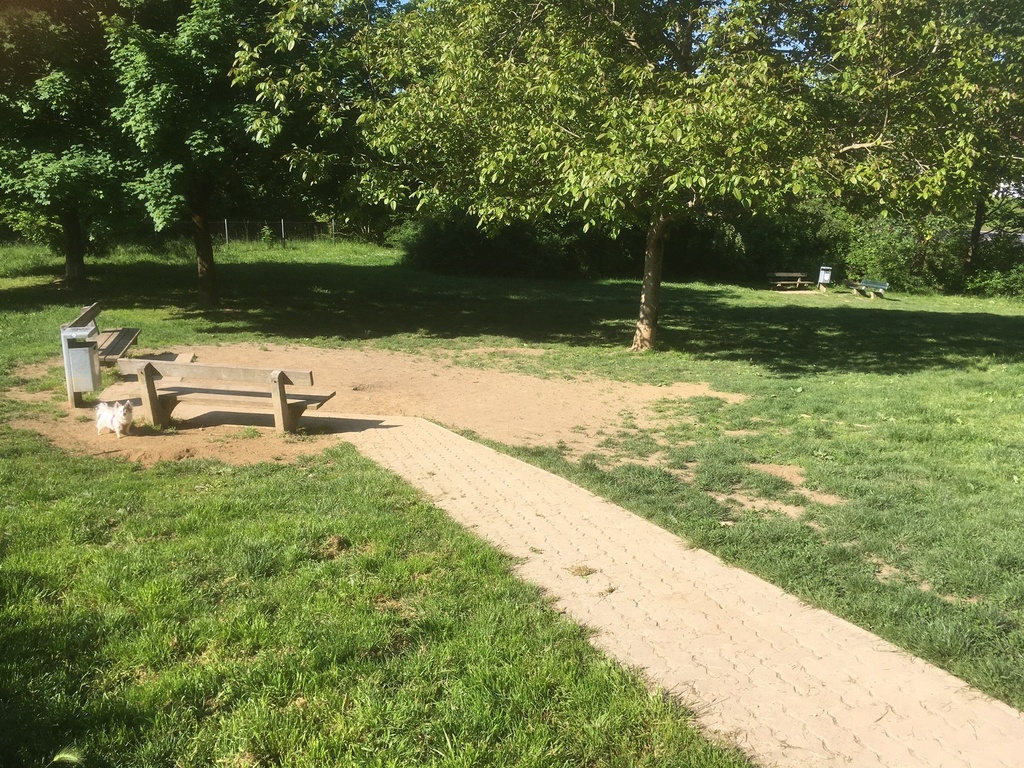 Sitzbank Hundewiese