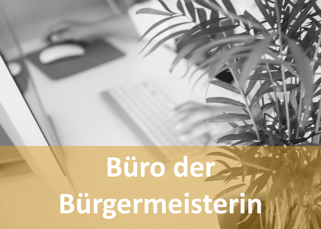 Bildschirm, Maus, Tastatur und ein Blumenstock