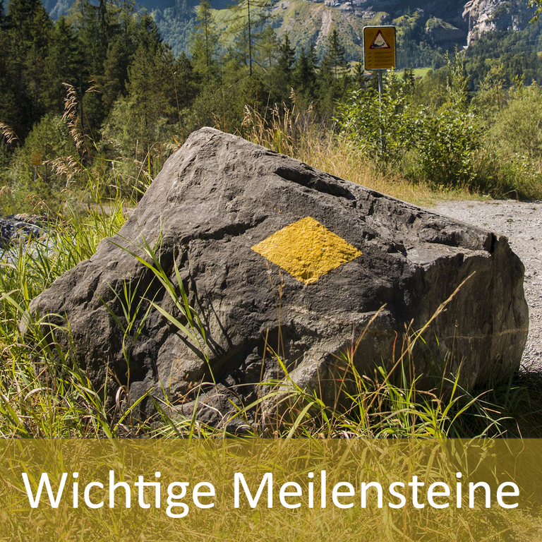 Wichtige Meilensteine