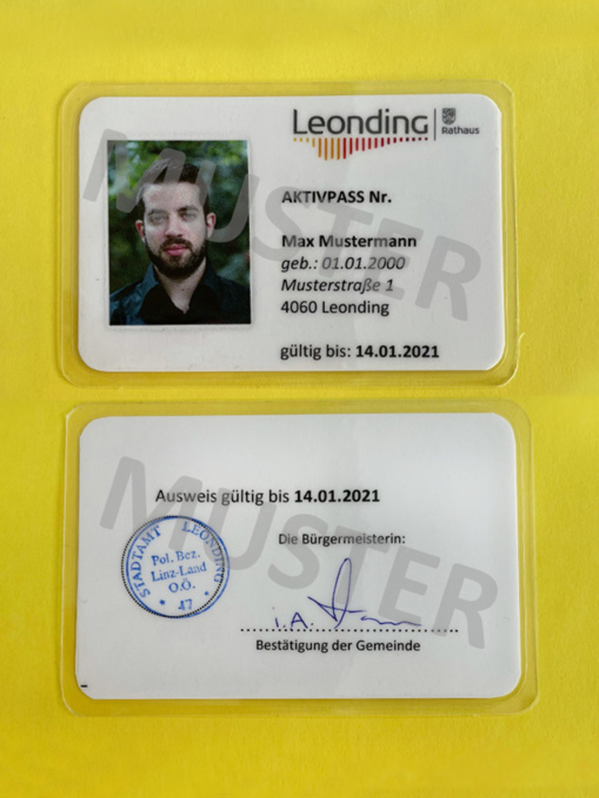 Muster eines Aktivpasses