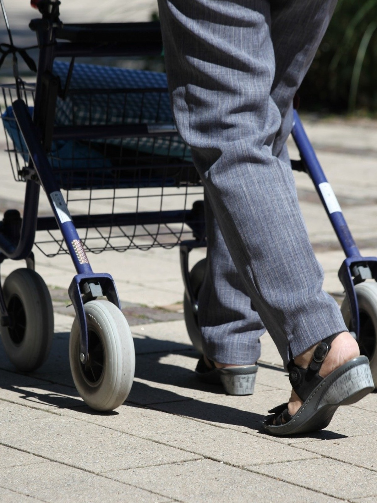 Rollator