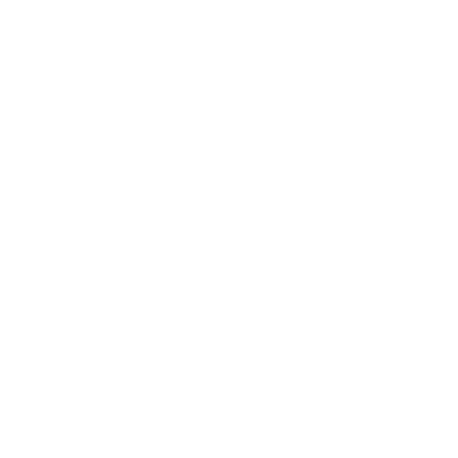Icon Blog Stadt Leonding