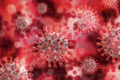 Symbolfoto für Virus