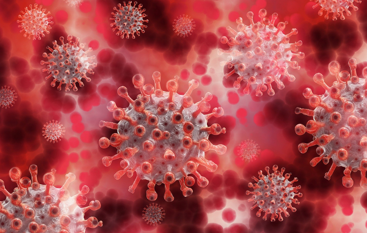 Symbolfoto für Virus