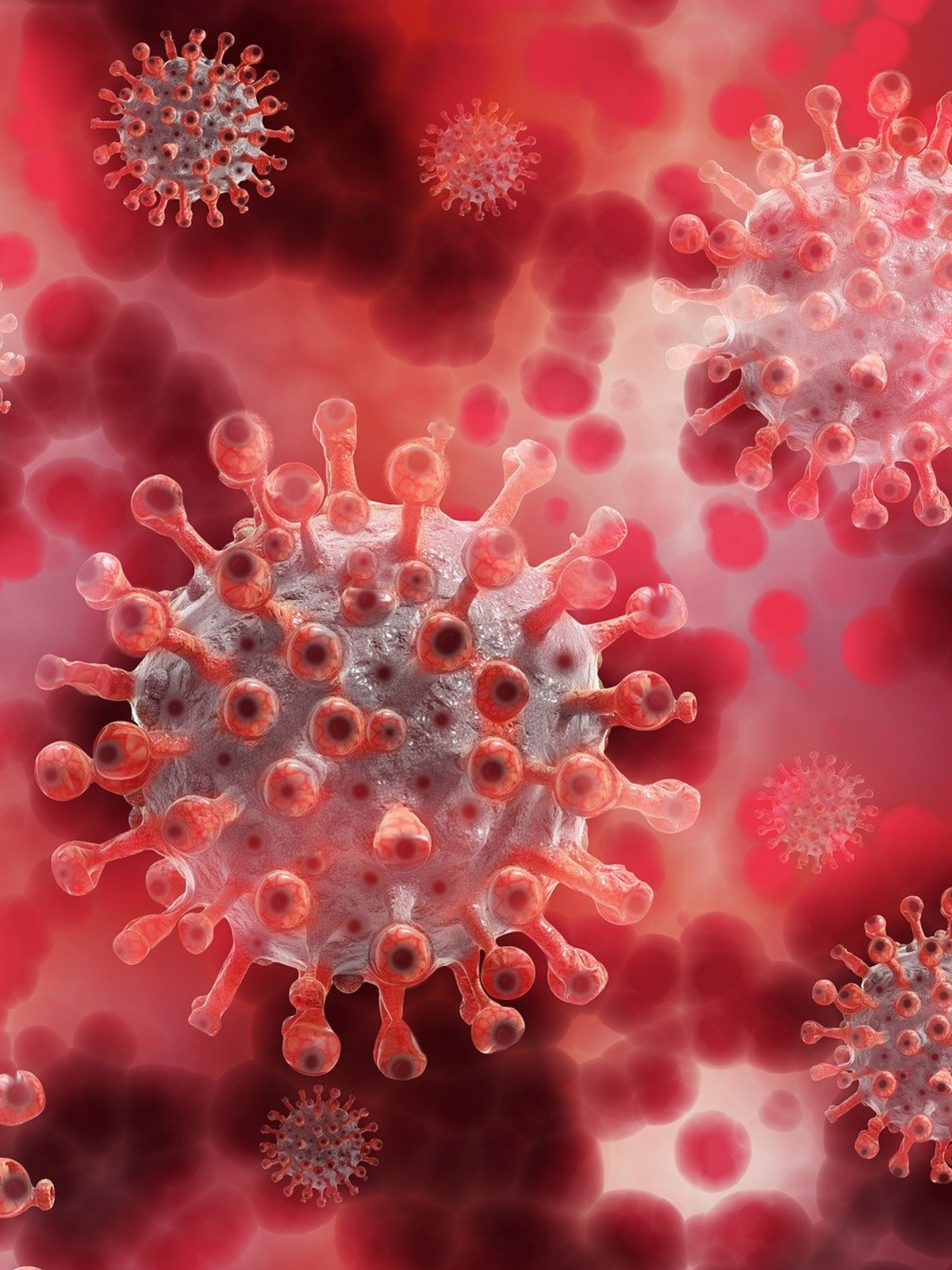 Symbolfoto Virus