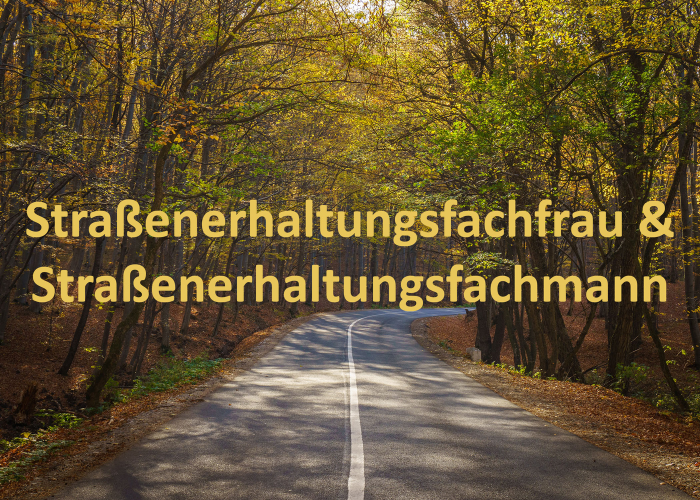 Straße durch einen Wald